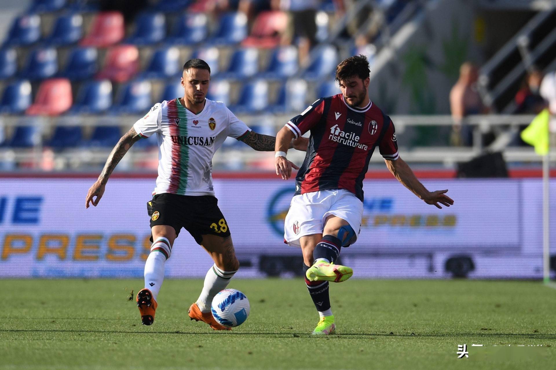 开云体育-包含赛地聚焦——意甲今晨热度飙升，纽约尼克斯强势反弹，引发热议，数据趋势出现新变化的词条